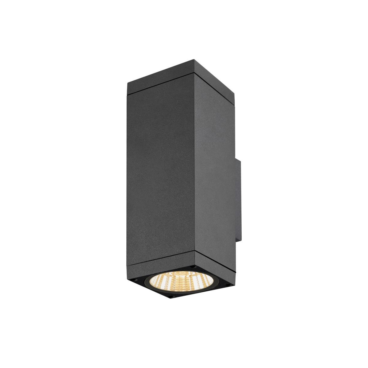 SLV-THEO-1010187-SPL1010187