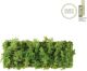 Paul Neuhaus-GREEN CARL-15637-66-PLN15637-66