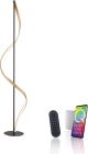 Paul Neuhaus-Q-SWING-438-13-PLN438-13