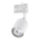 TK Lighting-TRACER-6057-TKL6057