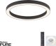 Paul Neuhaus-PURE-LINES-6309-13-PLN6309-13