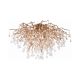 Paul Neuhaus-ICICLE-8092-11-PLN8092-11
