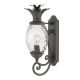 Hinkley Lighting-Plantation-HK-PLANTATION-M-MB-ELSHK-PLANTATION-MMB