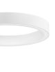 Nova Luce-MILPA-LE43289-LUCLE43289