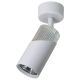 Milagro-NEO-ML0287-MILML0287