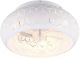 TRIO-BIDAR-R61574031-TRIR61574031