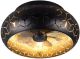 TRIO-BIDAR-R61574080-TRIR61574080