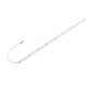 SLV-GRAZIA-1008523-SPL1008523