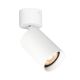 Italux-Nesto-SPL-23436-1R-WH-ITXSPL-23436-1R-WH