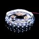 SMD LED-PROline-TAS4205SLL-SMDTAS4205SLL