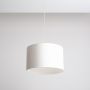Aldex BARILLA 1089G Pendelleuchte 1x60W/E27