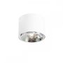 Aldex BOT 1046PL_G Aufbau-Downlight 1x35W/GU10/ES111