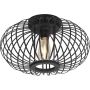 Paul Neuhaus RACOON 11410-18 Deckenlampe 5x40W/E27 ip20