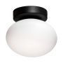 Zuma Line OMI 1188 Deckenlampe 1x5W/G9 IP20