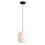 Aldex FLASK ORCHID L 8500G1_L Pendelleuchte 1x15W/E27