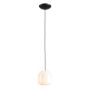 Aldex FLASK ORCHID S 8500G1_S Pendelleuchte 1x10W/E14