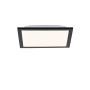 Paul Neuhaus FLAT 14740-18 LED-Panel 1x6W/LED 3000K 485LM IP20