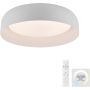Paul Neuhaus OSKO 14215-16 Deckenlampe 1x30W/LED 2700-5000k 2850lm ip20