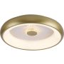 Paul Neuhaus VERTIGO 14384-60 Deckenlampe 1x29W/LED 2700-5000k 1400lm ip20
