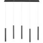 Paul Neuhaus BRUNO 15205-18 Pendelleuchte 5x29W/LED 3000k 550lm ip20