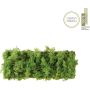 Paul Neuhaus GREEN CARL 15637-66 Wandleuchte 6x6,5W/LED 3000k 780lm ip20