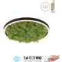 Paul Neuhaus GREEN RITUS 15391-66 Deckenlampe 1x20W/LED 3000k 630lm ip20