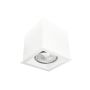Antigo Cage 1079 Aufbau-Downlight 1x10W/GU10 IP20