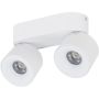 TK Lighting SPARK 18171 Spot 2x10W/LED 3000/4000/6000 K 965lm IP20