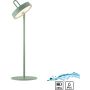 Paul Neuhaus AMAG 19310-43 Tischleuchte 1x1,5W/LED 2700k 80lm ip44