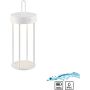 Paul Neuhaus ANSELM 19300-16 Tischleuchte 1x1,5W/LED 2700k 130lm ip44