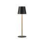 Paul Neuhaus EURIA 19250-68 Tischleuchte 1x2,5W/LED 3000K 180lm IP20