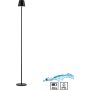 Paul Neuhaus EURIA 19252-18 Stehlampe 1x2,5W/LED 3000k 320lm ip54