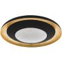 Eglo CANICOSA 2 98527 Deckenleuchte 1x24,5W/LED 2700K-6500K 3000LM