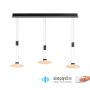 Paul Neuhaus LAUTADA 2081-18 Pendelleuchte 3x7,5W/LED 3000K 1800LM IP20