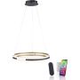 Paul Neuhaus Q-BELUGA 2051-60 Pendelleuchte 1x62W/LED 2700-5000k 6900lm ip20
