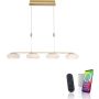 Paul Neuhaus Q-ETIENNE 2079-60 Pendelleuchte 5x44W/LED 2700-5000k 4500lm ip20