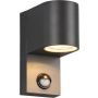 Trio ROYA 214260142 Wandleuchte 1x35w/gu10 ip44