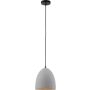 Paul Neuhaus ETON 2231-22 Pendelleuchte 1x40W/E27 ip20