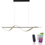 Paul Neuhaus Q-SWING 2385-13 Pendelleuchte 1x28W/LED 2700-5000k 3100lm ip20