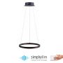 Paul Neuhaus TITUS 2381-13 Pendelleuchte 1x31W/LED ip20