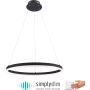 Paul Neuhaus TITUS 2382-13 Pendelleuchte 1x44W/LED ip20