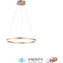 Paul Neuhaus TITUS 2382-60 Pendelleuchte 1x44W/LED 3000k 5250lm ip20