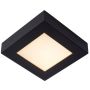 Lucide BRICE-LED 28117/17/30 Deckenlampe 1x15w/led 3000k 800lm ip44