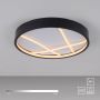 Paul Neuhaus MIKADO 14091-18 Deckenlampe 1x33W/LED 3000k 1900lm ip20
