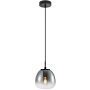 Italux Antita PND-3650-1S-BK-CSG Pendelleuchte 1x40W/LED IP20