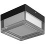 Italux Nefis PLF-53628-BK Deckenlampe 1x9W/LED IP65