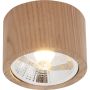 Zuma Line OAK 3010103 Aufbau-Downlight 1x15W/GU10 Es111 IP20