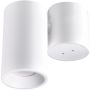 Polux HOBRO 315397 Aufbau-Downlight 1x10W/GU10 IP20