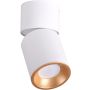 Polux NIXA 314260 Aufbau-Downlight 1x10W/GU10 IP20