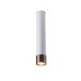 Antigo Eido 8251 Aufbau-Downlight 1x10W/GU10 IP20